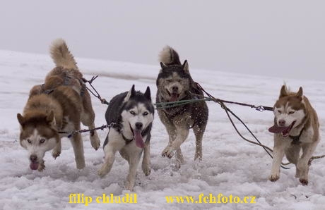 Hustopece 06 - 119a.jpg